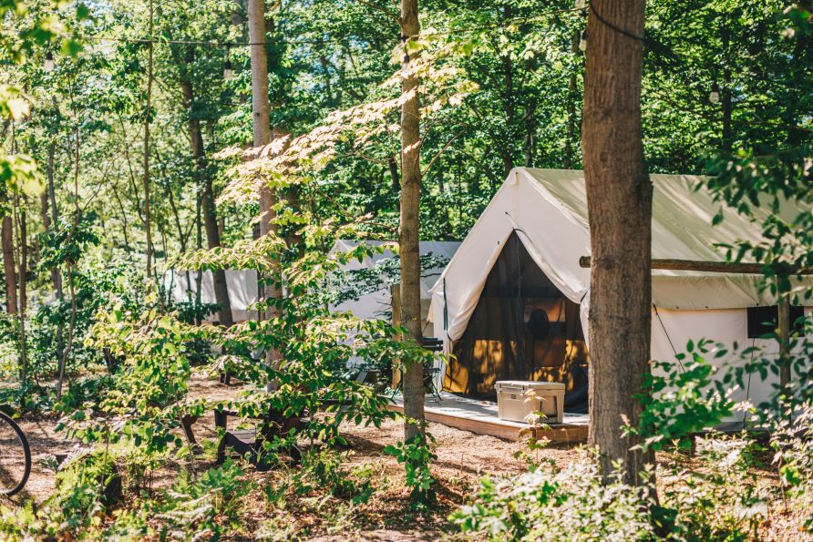 Safari Tent Family